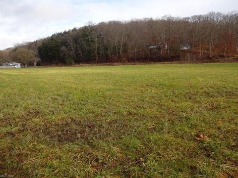 1009 Ghost Hollow Rd, Given, WV 25245 photo 14