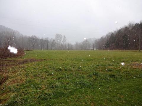 1009 Ghost Hollow Rd, Given, WV 25245 photo 9