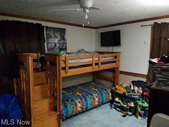 1009 Ghost Hollow Rd, Given, WV 25245 photo 20