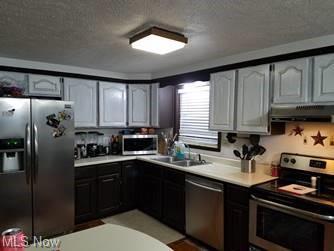 1009 Ghost Hollow Rd, Given, WV 25245 photo 26