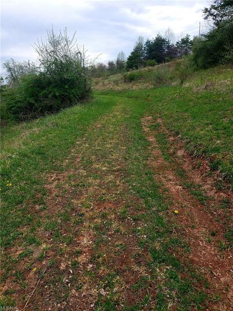 2667 Progress Ridge Rd, Walker, WV 26180 photo 15