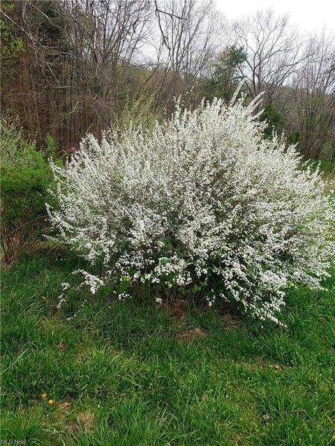 2667 Progress Ridge Rd, Walker, WV 26180 photo 7