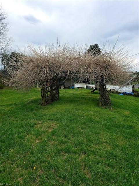 2667 Progress Ridge Rd, Walker, WV 26180 photo 13