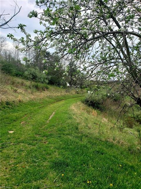 2667 Progress Ridge Rd, Walker, WV 26180 photo 6
