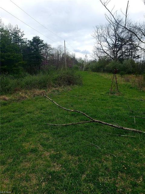 2667 Progress Ridge Rd, Walker, WV 26180 photo 18