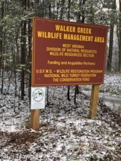 2667 Progress Ridge Rd, Walker, WV 26180 photo 3