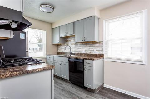 629 Eastern Heights Blvd, Elyria, OH 44035 photo 5