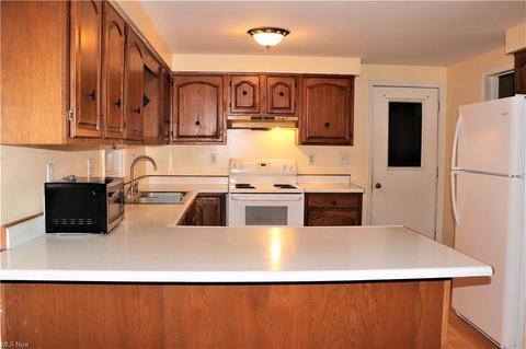93 E Britton Rd, Burbank, OH 44214 photo 2