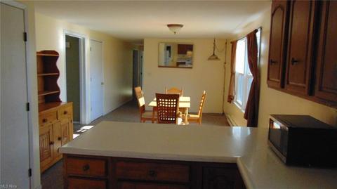 93 E Britton Rd, Burbank, OH 44214 photo 3