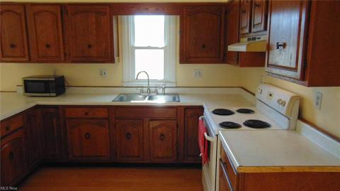 93 E Britton Rd, Burbank, OH 44214 photo 4