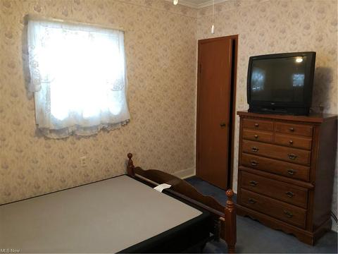 4497 N Ridge Rd E, Geneva, OH 44041 photo 14