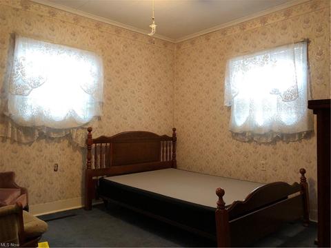4497 N Ridge Rd E, Geneva, OH 44041 photo 12