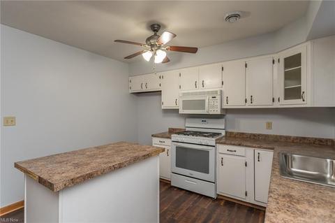 38010 Chestnut Ridge Rd, Elyria, OH 44035 photo 11