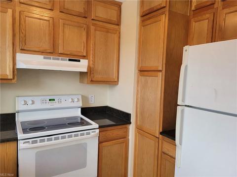 36100 Eagleton Rd, Lisbon, OH 44432 photo 6
