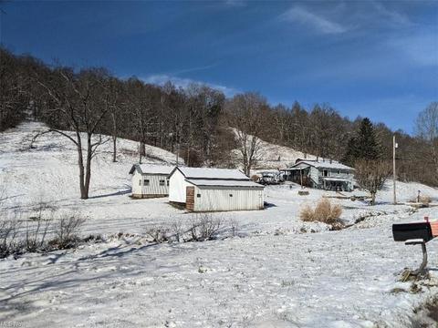 635 Bear Run, Cairo, WV 26337 photo 2