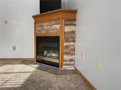 775 Bisson Ave, Akron, OH 44307 photo 27
