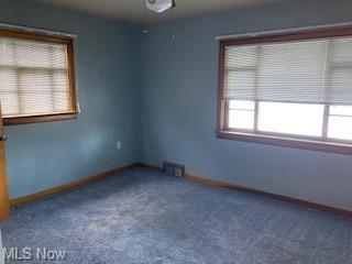 1210 Union Ave, Ashtabula, OH 44004 photo 19