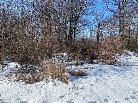 2429 Eureka Rd, Ashtabula, OH 44004 photo 1