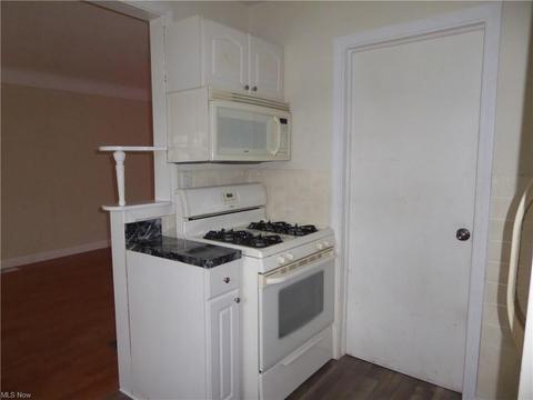 991 Reeve Rd, Elyria, OH 44035 photo 4