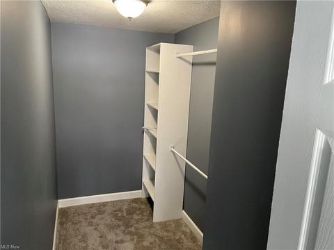 3172 E Waterloo Rd, Akron, OH 44312 photo 16