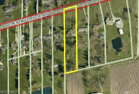37247 Chestnut Ridge Rd, Elyria, OH 44035 photo 35