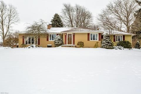 37247 Chestnut Ridge Rd, Elyria, OH 44035 photo 1