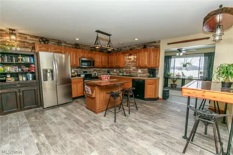 42172 Meadow Ln, Lagrange, OH 44050 photo 4