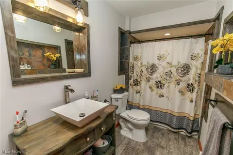 42172 Meadow Ln, Lagrange, OH 44050 photo 25
