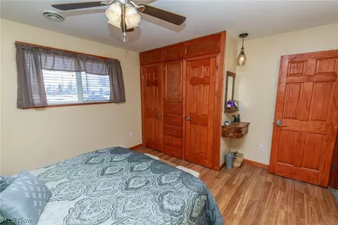 42172 Meadow Ln, Lagrange, OH 44050 photo 19