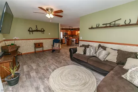 42172 Meadow Ln, Lagrange, OH 44050 photo 9