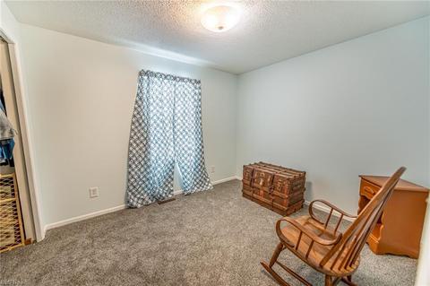 505 Mcdowell Ave, Minerva, OH 44657 photo 10
