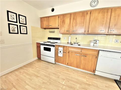 431 E 257th St, Euclid, OH 44132 photo 4
