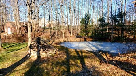 6441 Matson Rd, Geneva, OH 44041 photo 32