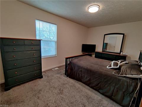 708 E Crosier St, Akron, OH 44306 photo 10