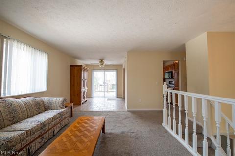3933 Ohio St, Perry, OH 44081 photo 5