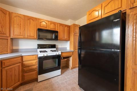 3933 Ohio St, Perry, OH 44081 photo 9