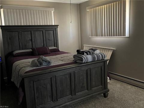 3103 Orchard Rd, Ashtabula, OH 44004 photo 20