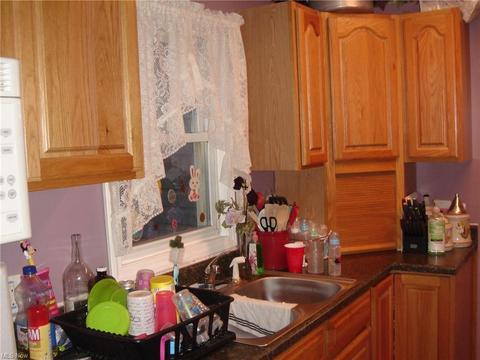 136 Pendleton St, Lisbon, OH 44432 photo 20