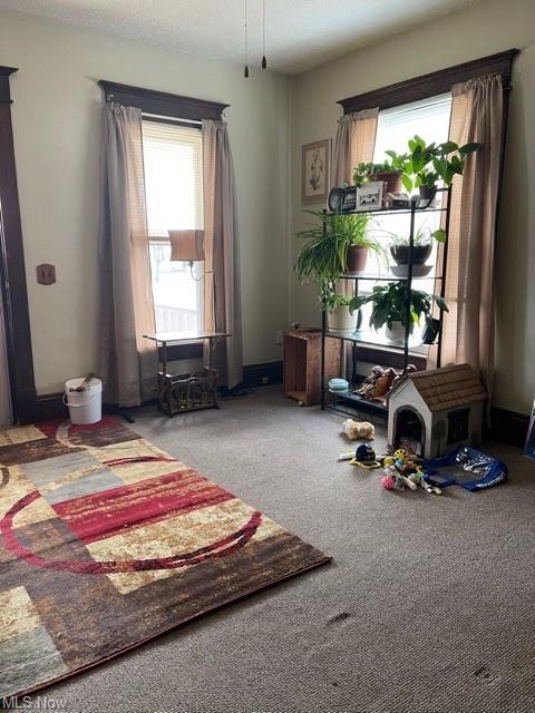 308 W Plain St, Minerva, OH 44657 photo 4