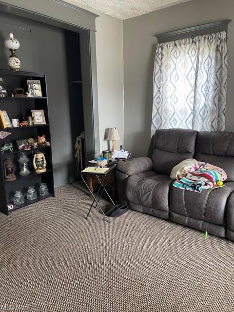 308 W Plain St, Minerva, OH 44657 photo 3