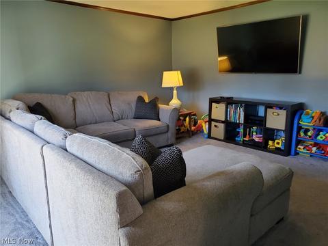 7346 Cromwell Dr, Solon, OH 44139 photo 7