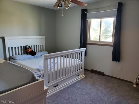 7346 Cromwell Dr, Solon, OH 44139 photo 11