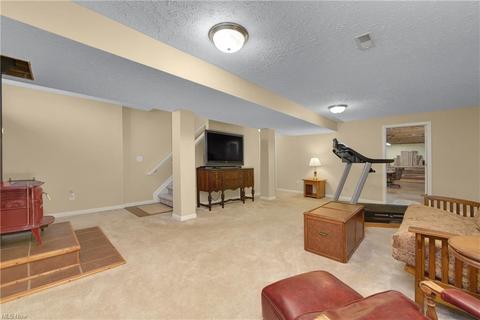 5232 Cardinal Ct, Lorain, OH 44053 photo 22
