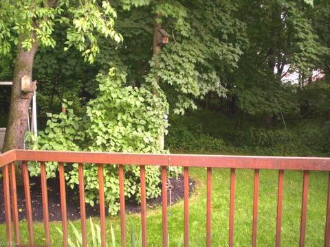 4313 Devonshire Dr, Boardman, OH 44512 photo 17