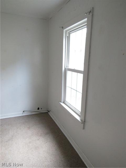 112 Forest St, Lagrange, OH 44050 photo 23
