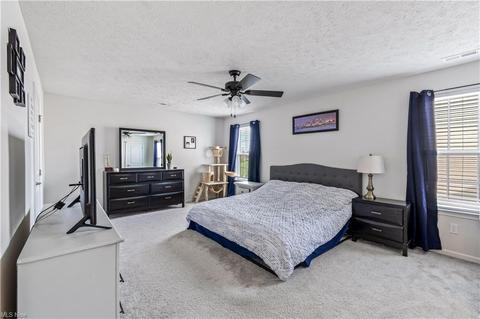 823 Buckingham Dr, Lagrange, OH 44050 photo 15