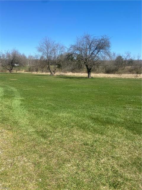 8349 Richman Rd, Lodi, OH 44254 photo 6