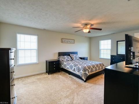 307 Garfield Dr, Lagrange, OH 44050 photo 23