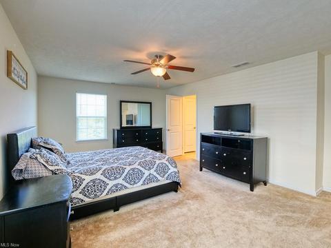 307 Garfield Dr, Lagrange, OH 44050 photo 22