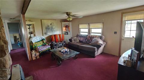 8246 Nichols Rd, Windham, OH 44288 photo 14